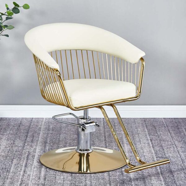 wholesale-of-new-style-salon-chairs-height-adjustable-tren-03