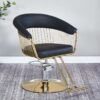 wholesale-of-new-style-salon-chairs-height-adjustable-tren-04