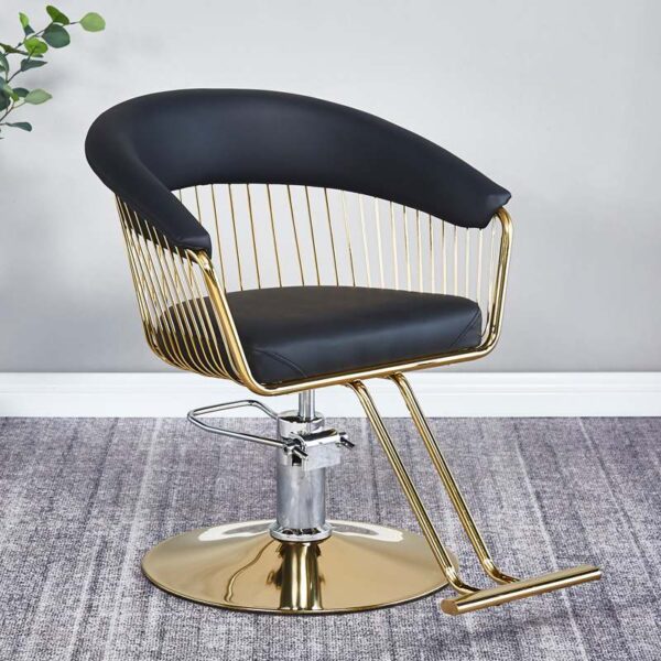 wholesale-of-new-style-salon-chairs-height-adjustable-tren-04